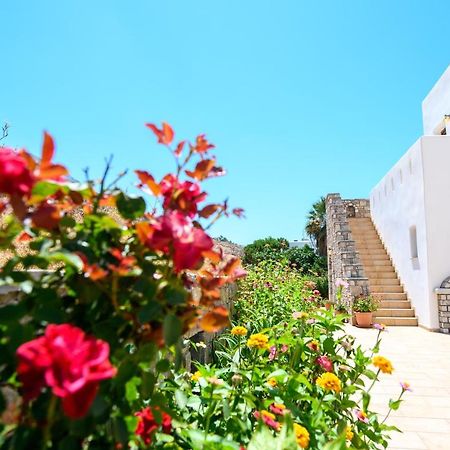 Villa Andromeda Amorgos Eksteriør bilde